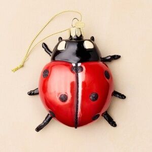 John Derian for Target Glass Ladybug Ornament